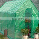 Large Walk-In Green House thumbnail-1