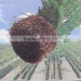 Fast Grow Rapid Cultivating Root Container thumbnail-4