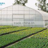 Vegetable &Fruit Used Pvc Greenhouse thumbnail-4