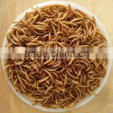 Mealworm Manufacturer High Protein Dried Mealworm thumbnail-1