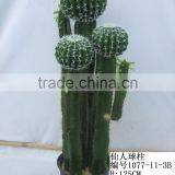 Fake Artificial Plastic Cactus Ball thumbnail-1