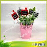 Professional Beautiful Eco Friendly Plant Pot Stick Decoration