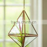 Succulent Polygon Hanging Prism Terrarium thumbnail-1