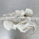 Frozen Baby Octopus in Ball Shape thumbnail-3