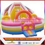 Inflatable Bouncy Castle With Water Slide , Giant Inflatable Water Slide for Adult,giant Inflatable Water Slide