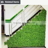 Outdoor Creative Artificial Living Moss Flower Plants Wall thumbnail-3