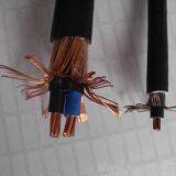 Concentric Cable thumbnail-2