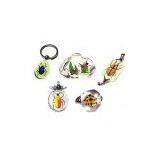 Sell Amber Insect Key Chain