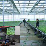 Multi Span PC GLASS Agricultural Greenhouse thumbnail-4
