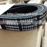 Оригинальная деталь дизельного двигателя M11 QSM ISM - ремень V-образного профиля 3103697