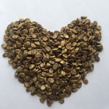RF Oblong Shape Seedless Watermelon Seeds thumbnail-5