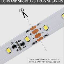 2835 Led Strip Constant Current Flexible LED Strip Light 35M 64leds/m 12mm PCB DC36V 8.8W/M 2700-6500K thumbnail-5