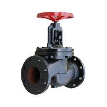 Globe Valve thumbnail-2