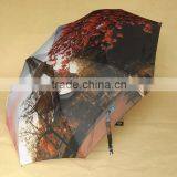 3 Folding Umbrella With Automatic Open and Close thumbnail-3