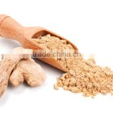 Finest Ginger Powder Bulk Producers