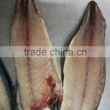 Scomber Mackerel Fillet
