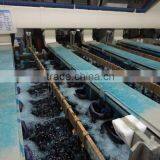 Electro Plating Machine for ABS thumbnail-4