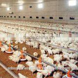 Broiler House Equipments of the Poultry Farm