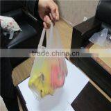 Transparent Vest Bag / Zip Lock Bag for Food / Top Quality Food Bag