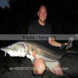 200M 0.04mm ULTRA THIN PE 3 Braided Fishing Line 100% Made in Germany Smooth Strong Round Mega-3-braid thumbnail-6