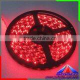 Low Price 120led Per Meter Non-Waterproof Blue Color SMD LED Strip 3528 With CE ROHS thumbnail-6