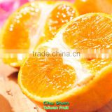 Fresh mandarin orange citrus fruit exporter from Taiwan