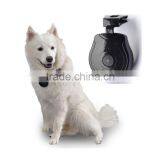 Hot Sale Usb Pet Camcorder for Your Lovely Pets thumbnail-1