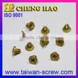 Stainless Steel Brass Micro Button Head Umbrella Rivet and Screw thumbnail-6