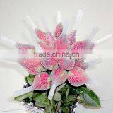 Netting for Cut Flowers thumbnail-2