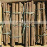 CASSIA TUBE NEW CROP 2016 cassia tube/tube cassia/cassia stick