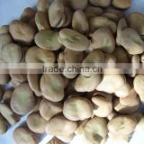 new crop factory supplier fava beans cheap Best Price Broad Bean