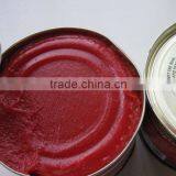 KOSHER Tomato Paste With High Level Lycopene thumbnail-1