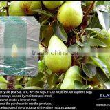 Pears Bag thumbnail-1