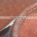 Free Samples PET Flake Glitter for Tatoo Ink