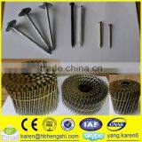 Umbrella Head Iron Nails, Galvanized Nails, Iron Nails,coil Nails, Nails Supplier thumbnail-6