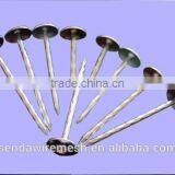 Common Nails/roofing Nails /iron Nails thumbnail-4