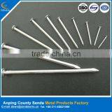 Zinc Coated Common Nails thumbnail-1