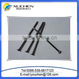3" common nail beauty product iron nails from china factory
