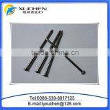 Good Quality 15cm Common Nails/polished Iron Nail / Standard Wire Nail thumbnail-1