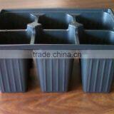 Growing Vegetable Transplants in Plug Seed Nursery Trays 8 Cell thumbnail-1