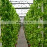 Convenience High Quality Hydroponic System thumbnail-1