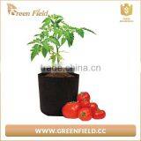High Quality Fabric Garden Pots Felt Vegetable Plant Grow Bags thumbnail-1