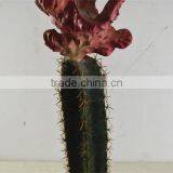 SJ3001101 Artificial Cactus Plant/cheap Artificial Plants/red Cactus Plant thumbnail-4