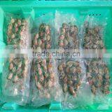 FROZEN WHOLE BABY CLAM thumbnail-2