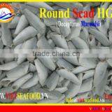 FROZEN HGT HORSE MACKEREL thumbnail-1