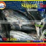 FROZEN SKIPJACK TUNA WHOLE ROUND thumbnail-1