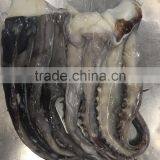 For BBQ 2-4 Kgs Frozen Giant Squid Tentacles thumbnail-2