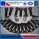 Outstanding Quality DIN912 M3 Hex Titanium Screw by LIUWEI thumbnail-1