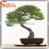 Hot Sale Wholesale Artificial Pine Tree Decor Plastic Pine Tree Artifiicial Fake Pine Tree thumbnail-2