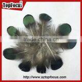 Carnival Decorate Green Loose Lady Amherst Pheasant Feathers for Sale thumbnail-5